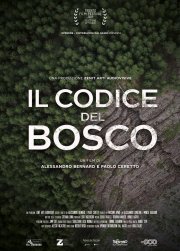 Locandina di Il codice del bosco