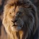 Mufasa - Il Re Leone: l'edizione Blu-Ray del film è in sconto su Amazon