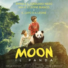 Locandina di Moon il Panda