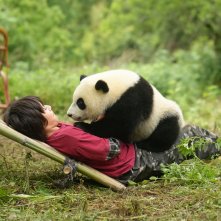 Moon il Panda: amici per sempre