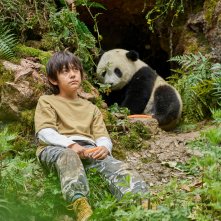 Moon il Panda: una sequenza