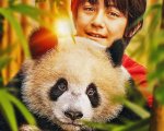 Moon il Panda, recensione: Gilles de Maistre e un cinema innocuo che punta alla tenerezza