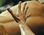 Queer e il ritratto del desiderio secondo Luca Guadagnino