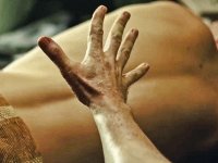 Queer e il ritratto del desiderio secondo Luca Guadagnino