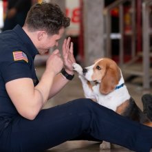 9-1-1. Oliver Stark in una scena della midseason premiere dell'ottava stagione.