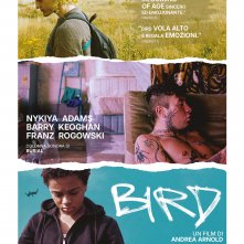 Locandina di Bird