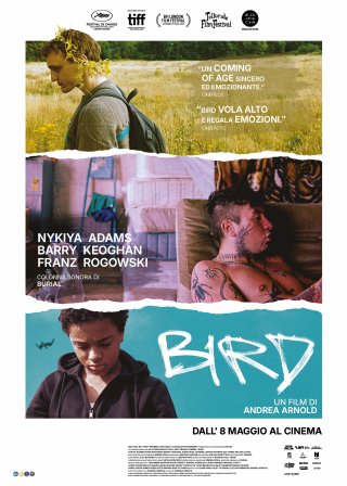 Locandina di Bird