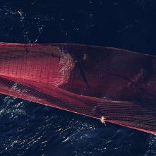 Breath: una sequenza del film