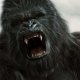 King Kong: in arrivo nuovi libri che espandono l’universo del franchise