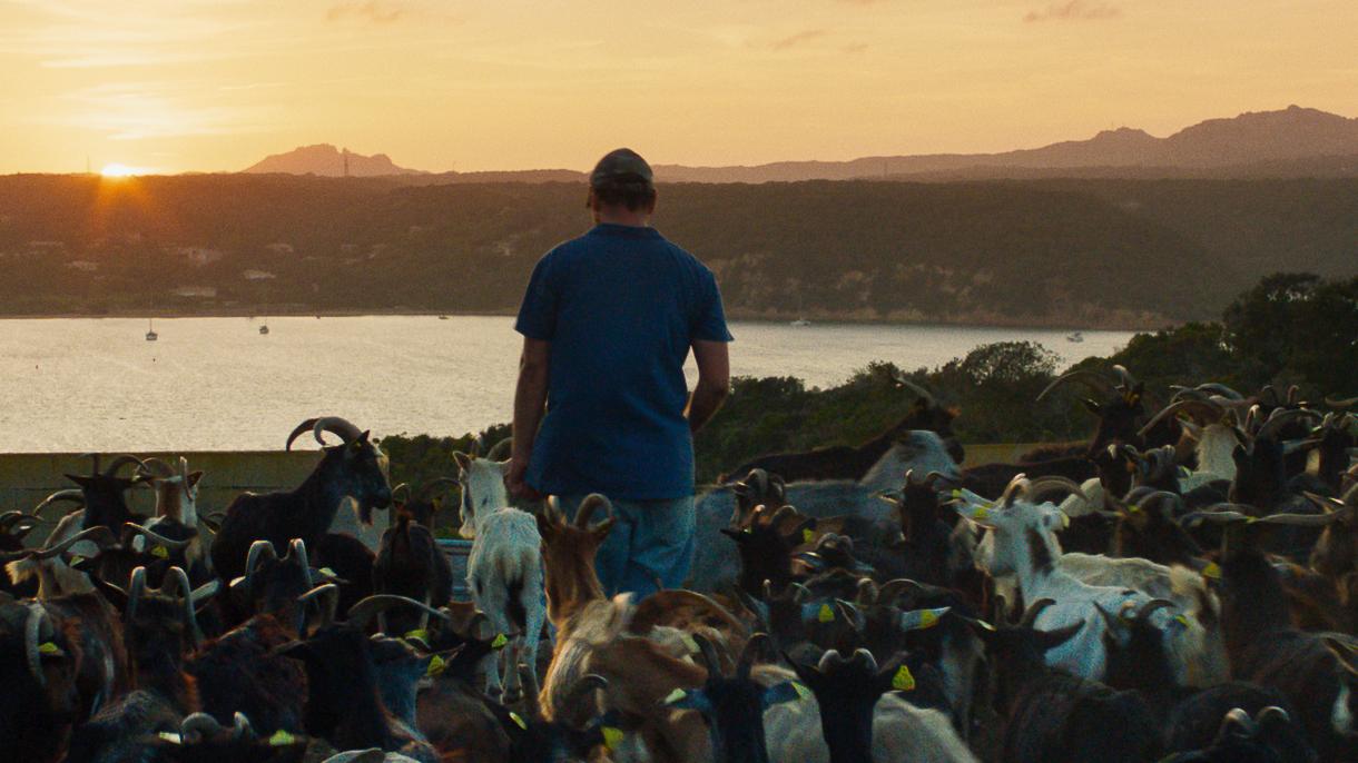 Alexis Manenti insieme alle sue capre