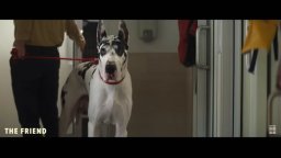 The Friend - Trailer del film con Naomi Watts e Bill Murray