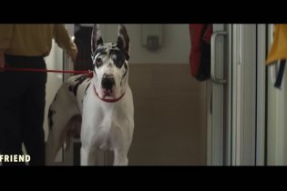 The Friend - Trailer del film con Naomi Watts e Bill Murray