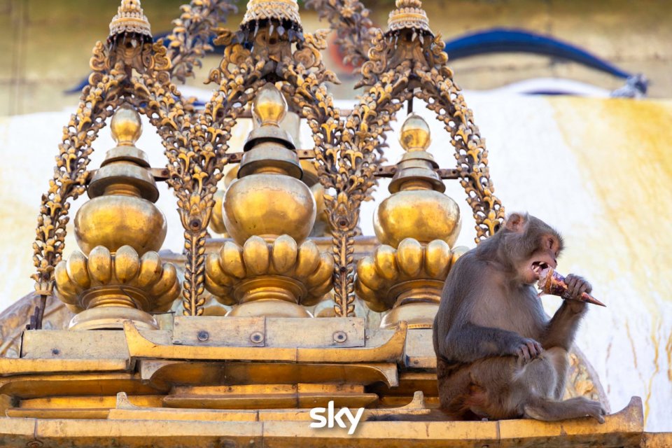 Pechino Express 2025 Semifinale