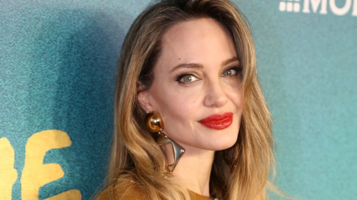 Angelina Jolie sarà la protagonista di Gli ansiosi, film tratto dal romanzo di Fredrik Backman