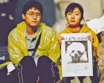Cane che abbaia non morde: dentro il palazzo del cinema di Bong Joon-ho