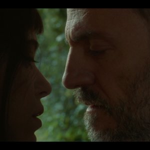 L'origine del mondo: un'immagine