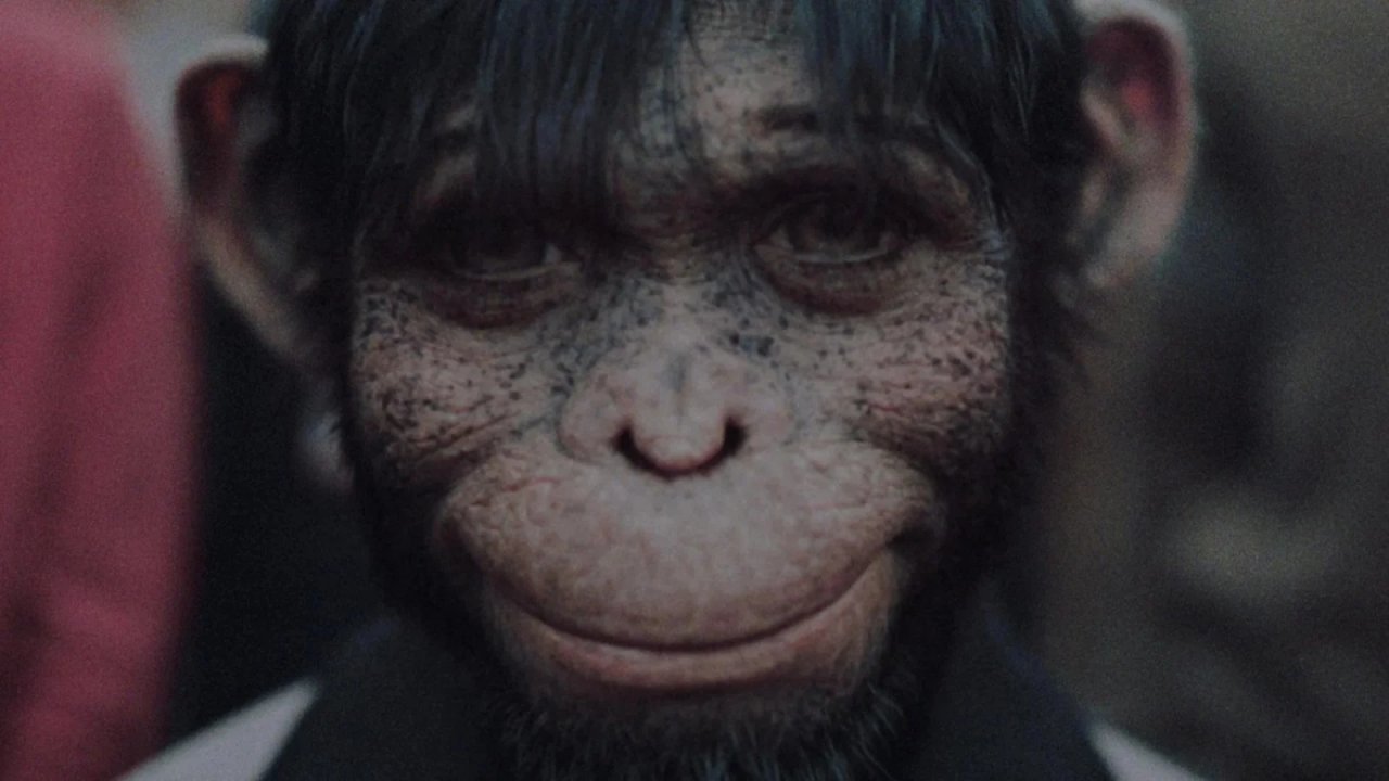 Un'immagine da Better Man.