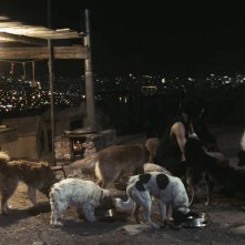 Silent City Driver: un'immagine del film