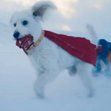 Superman: il super cane Krypto