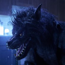 Werewolves: uno dei licantropi del film