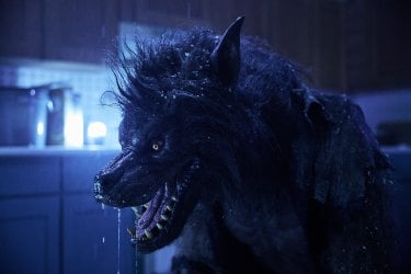 Un Lupo Mannaro Di Werewolves