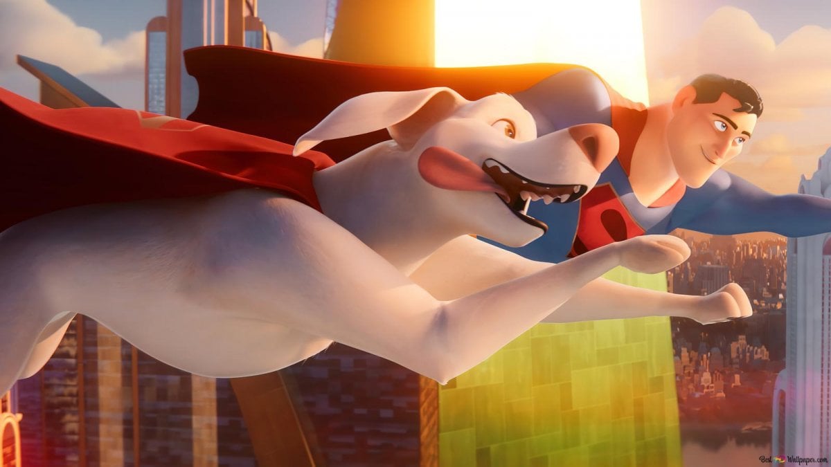 Superman: David Corenswet e Krypto nella nuova foto ufficiale dalla Fortezza della Solitudine Superman: David Corenswet e Krypto nella nuova foto ufficiale dalla Fortezza della Solitudine