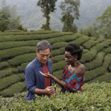 Black Tea: Han Chang e Nina Mélo nella piantagione di tè
