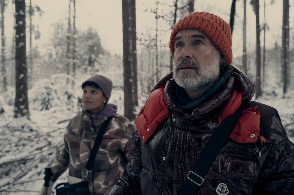 Nove Perfetti Sconosciuti Murray Bartlett Maisie Richardson Sellers Scena Seconda Stagione Serie Tv Prime Video