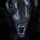 Alien: Covenant, l'edizione 4k Ultra HD + Blu-Ray è in offerta su Amazon