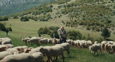 Fino Alle Montagne Recensione Film Sophie Deraspe Lxeohz9