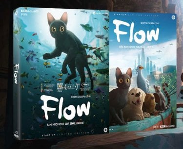 Flow Limited Edition 4K