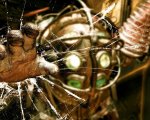 BioShock, il regista afferma che il film è in una 'ottima fase' di sviluppo: 'Nonostante i cambi di Netflix'