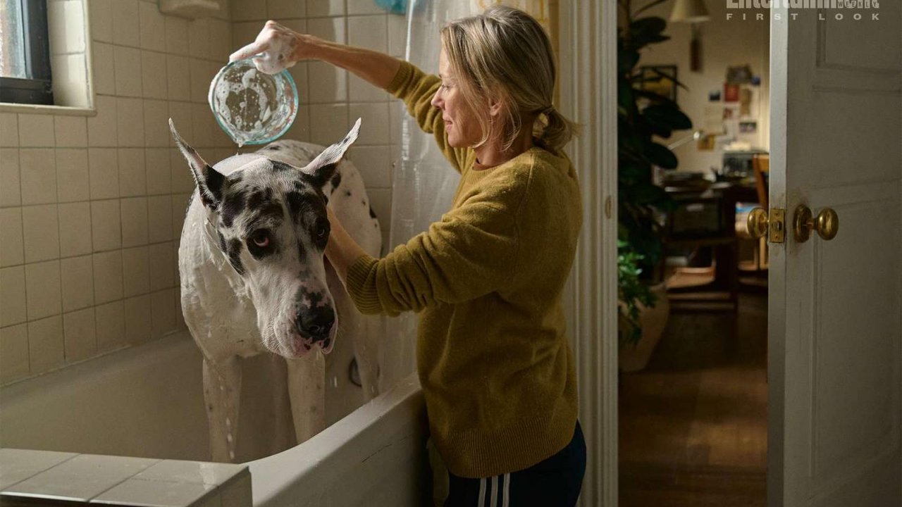 Naomi Watts lava il simpatico alano