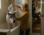 L'amico fedele: clip esclusiva del film con Naomi Watts e Bill Murray, al cinema dal 5 giugno