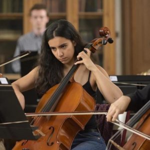 Divertimento: un'immagine