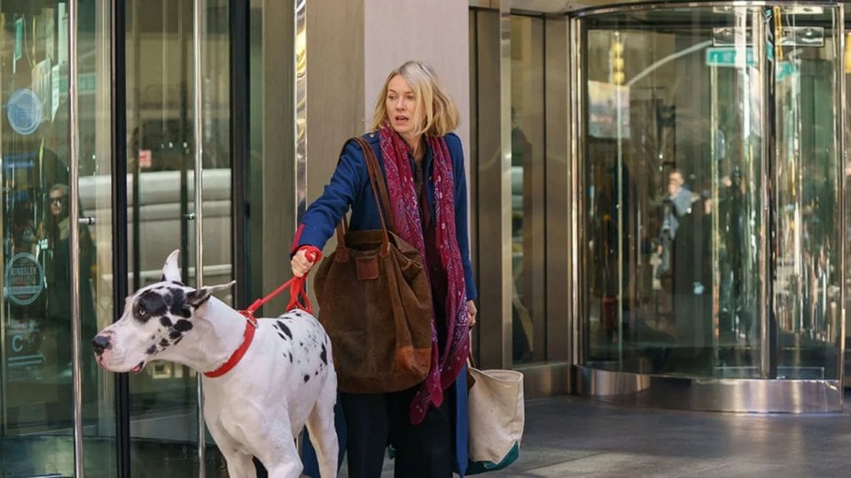L Amico Fedele Naomi Watts Apollo