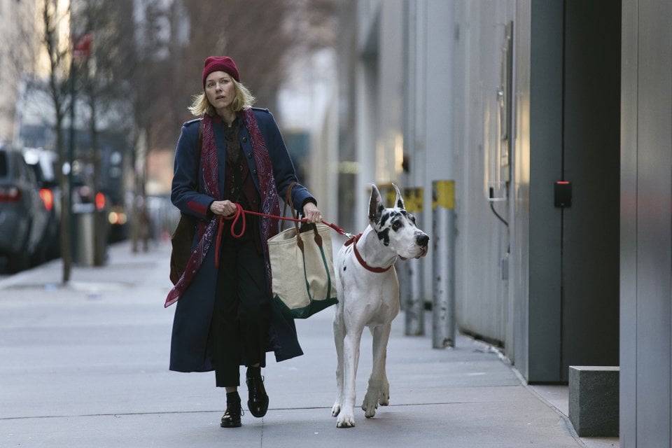 L Amico Fedele Naomi Watts