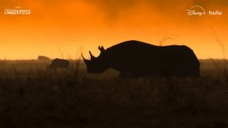 Underdogs - Trailer della serie National Geographics con la voce di Ryan Reynolds