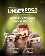 Locandina di Underdogs