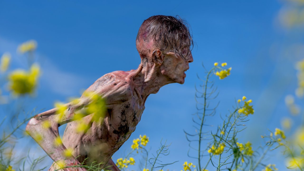Un infetto nei campi in una scena di 28 anni dopo: Il tempio delle ossa