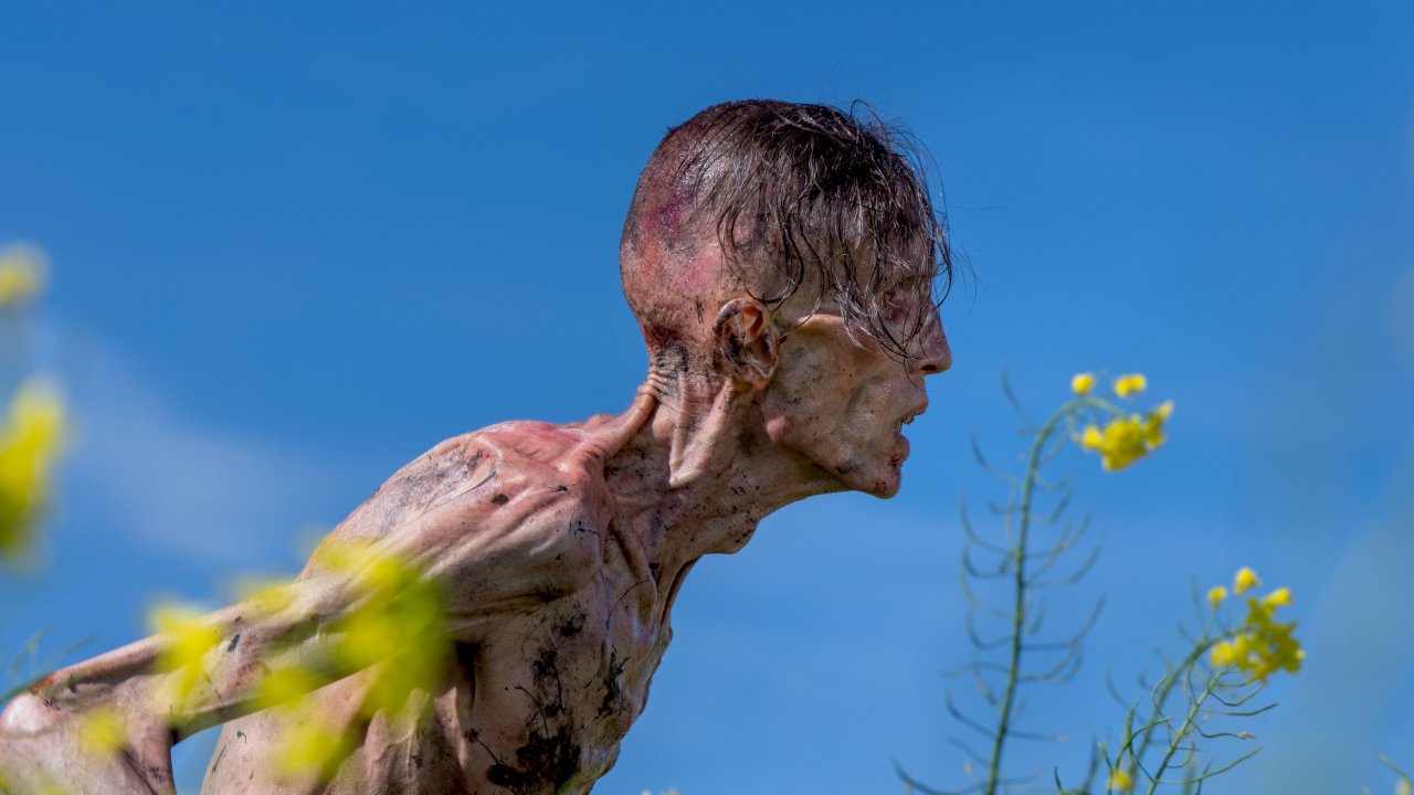 Uno zombie a zonzo per l'Inghilterra