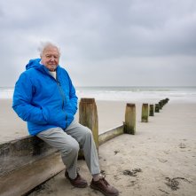 I segreti dell'oceano con David Attenborough: una foto del documentario