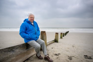 I Segreti Dell Oceano David Attenborough Foto