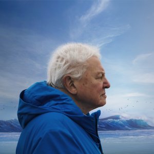 I segreti dell'oceano con David Attenborough: un'immagine del film