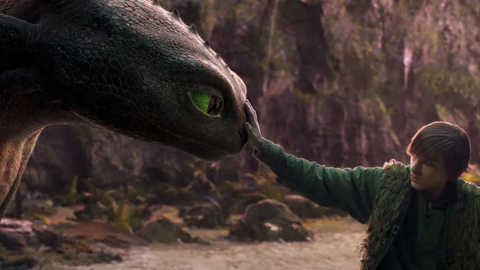 Una foto di Dragon Trainer