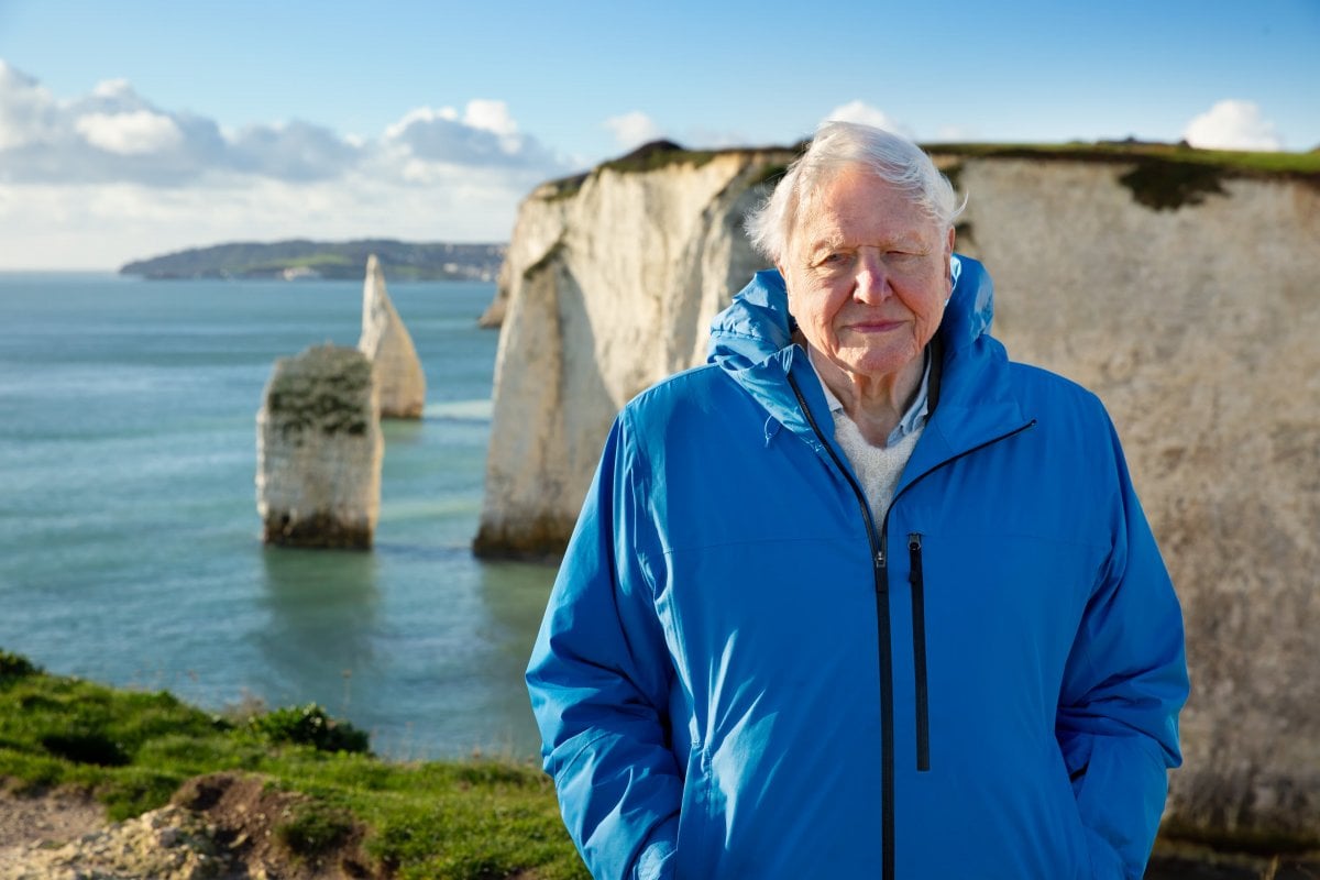 i segreti dell oceano con david attenborough immersi in un mondo alieno e affascinante