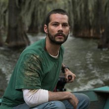 Caddo Lake: Dylan O'Bien in un'immagine