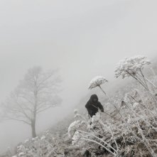 In marcia coi lupi: un frame del documentario