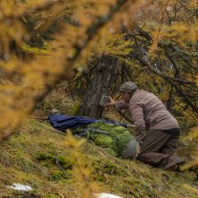 In marcia coi lupi: un'immagine