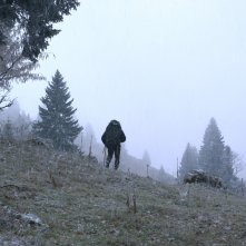 In marcia coi lupi: una foto